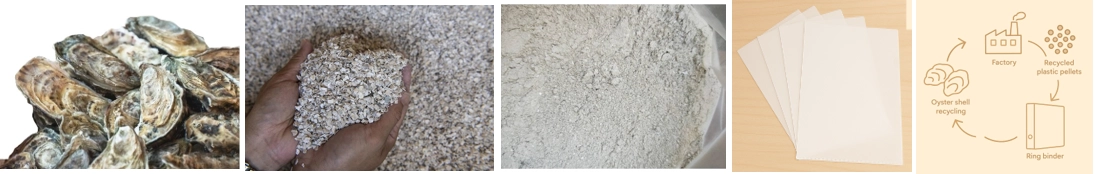 環保文具,ESG減碳,母粒,牡蠣穀,牡蠣穀粉,L夾,辦公室用品,公文夾,檔案夾